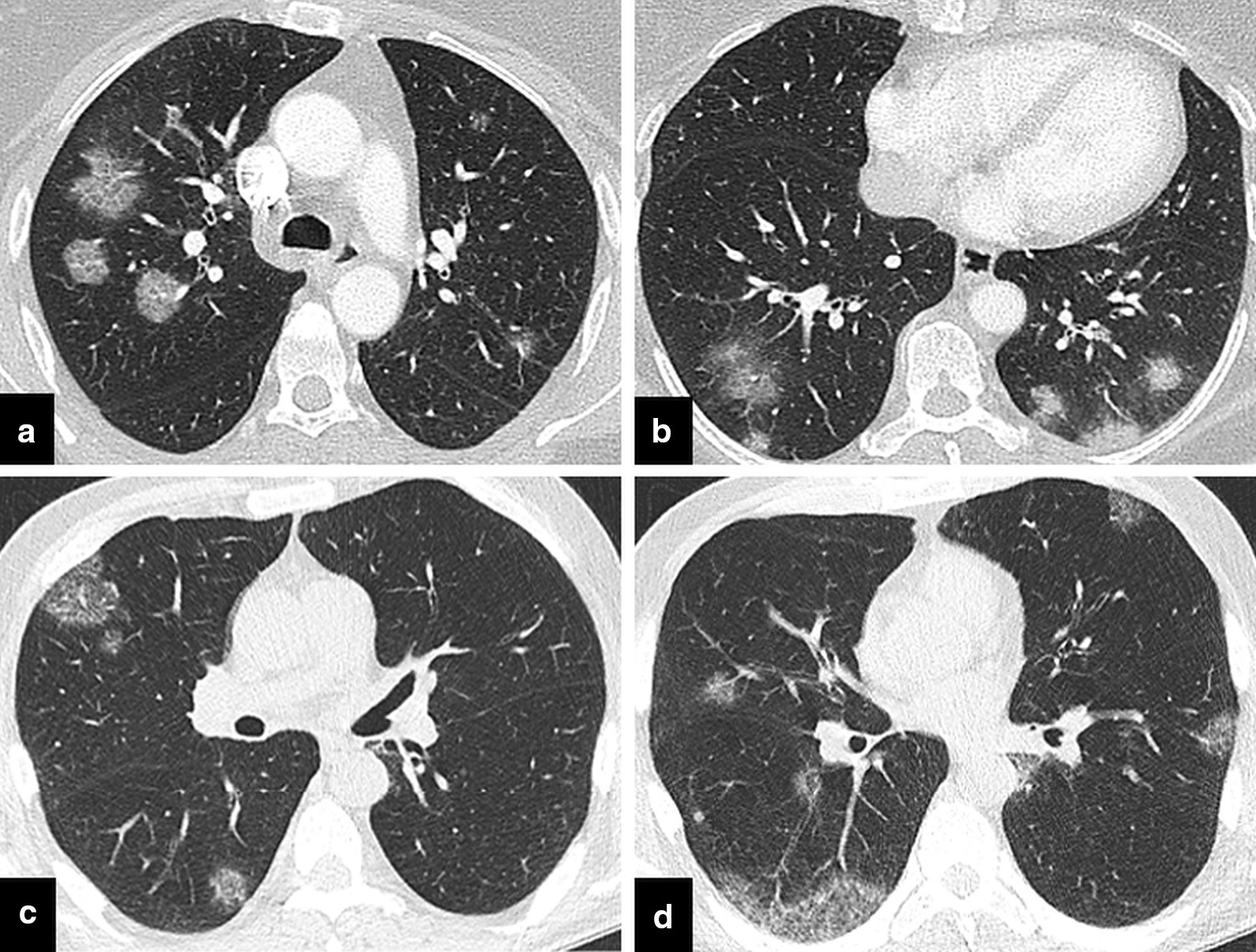 Fig. 8