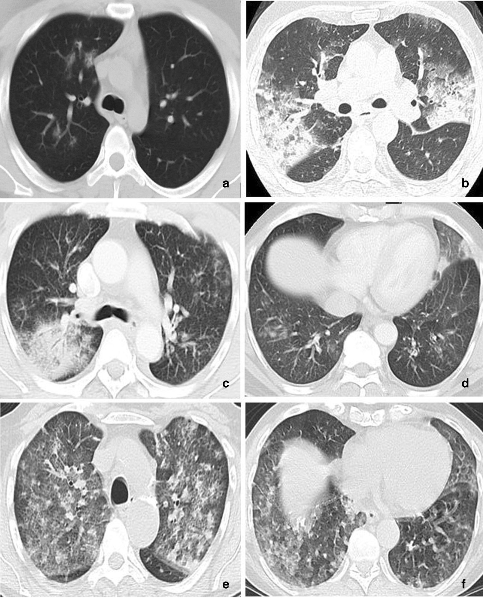 Fig. 7