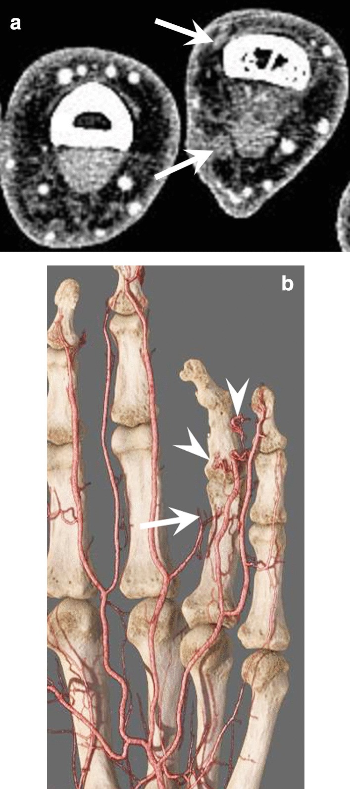 Fig. 5