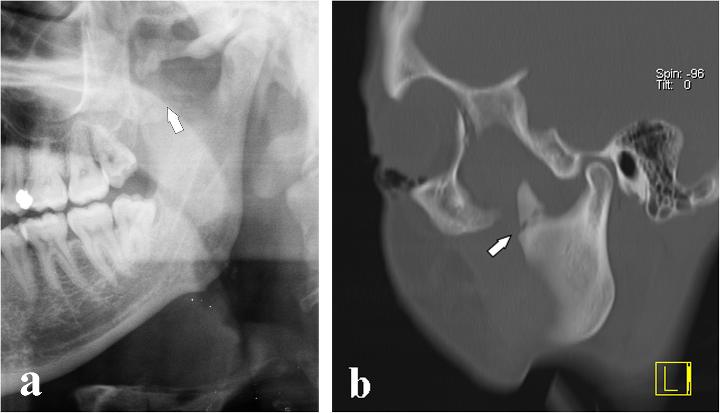 Fig. 9