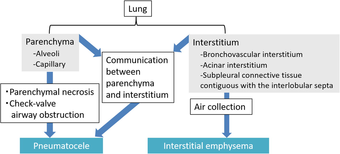 Fig. 20