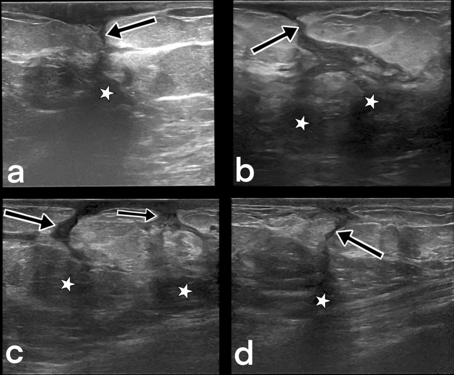 Fig. 9