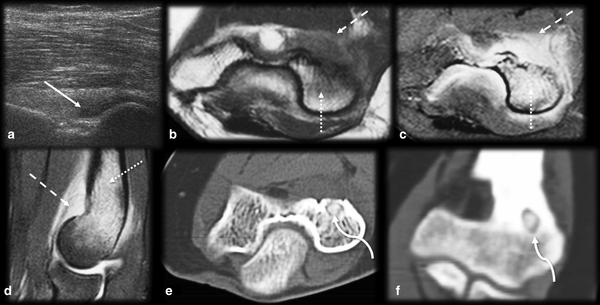 Fig. 5