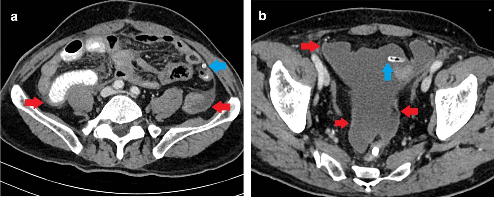 Fig. 7