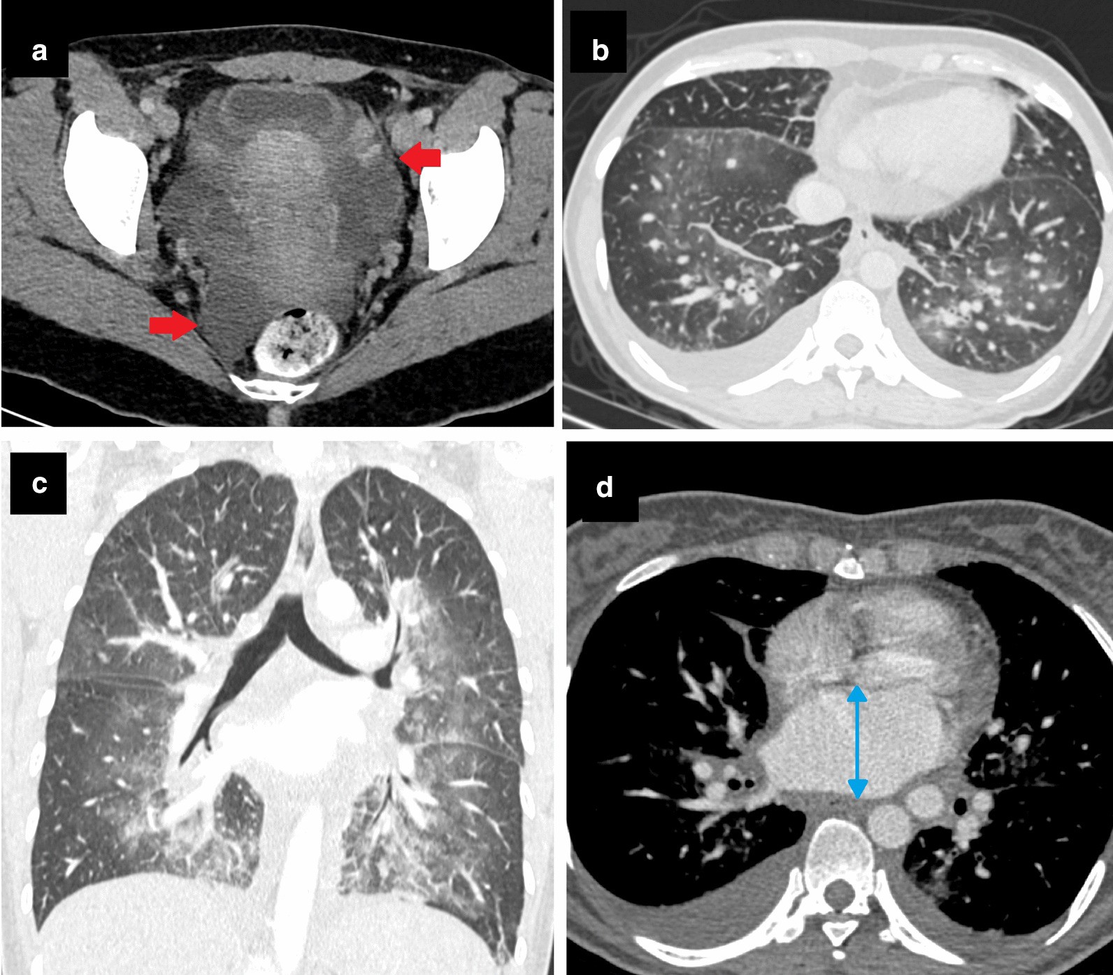 Fig. 8