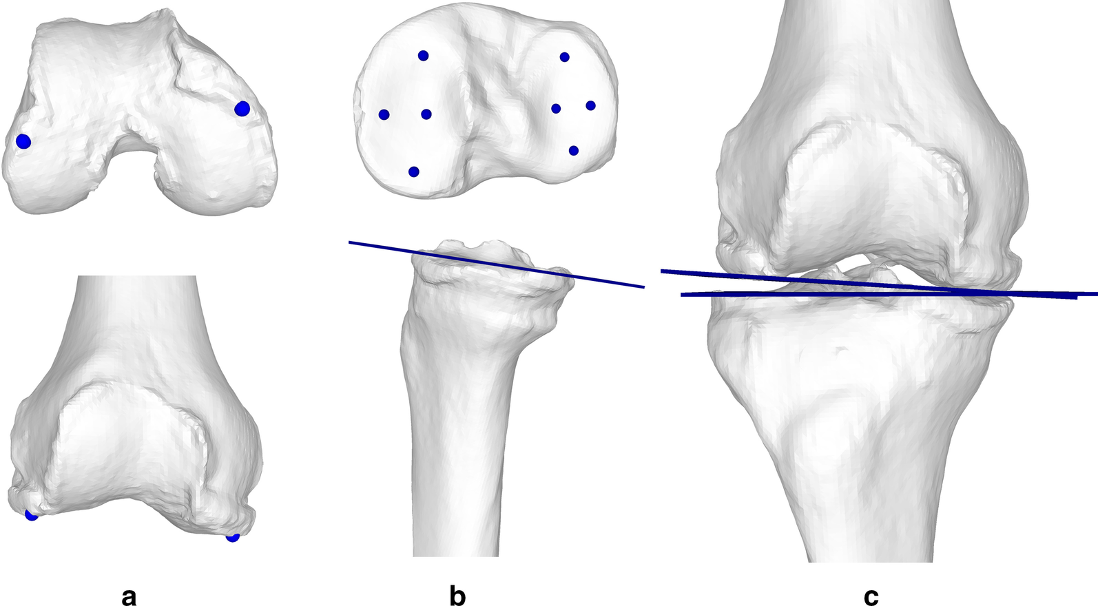 Fig. 5