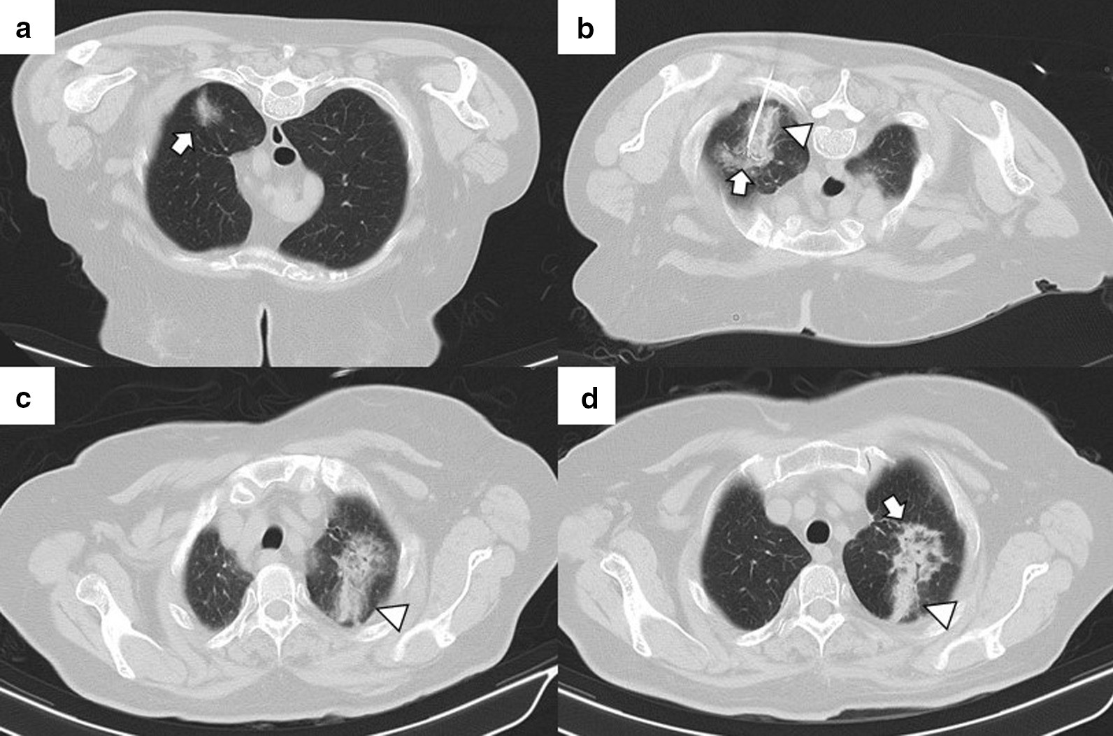 Fig. 7