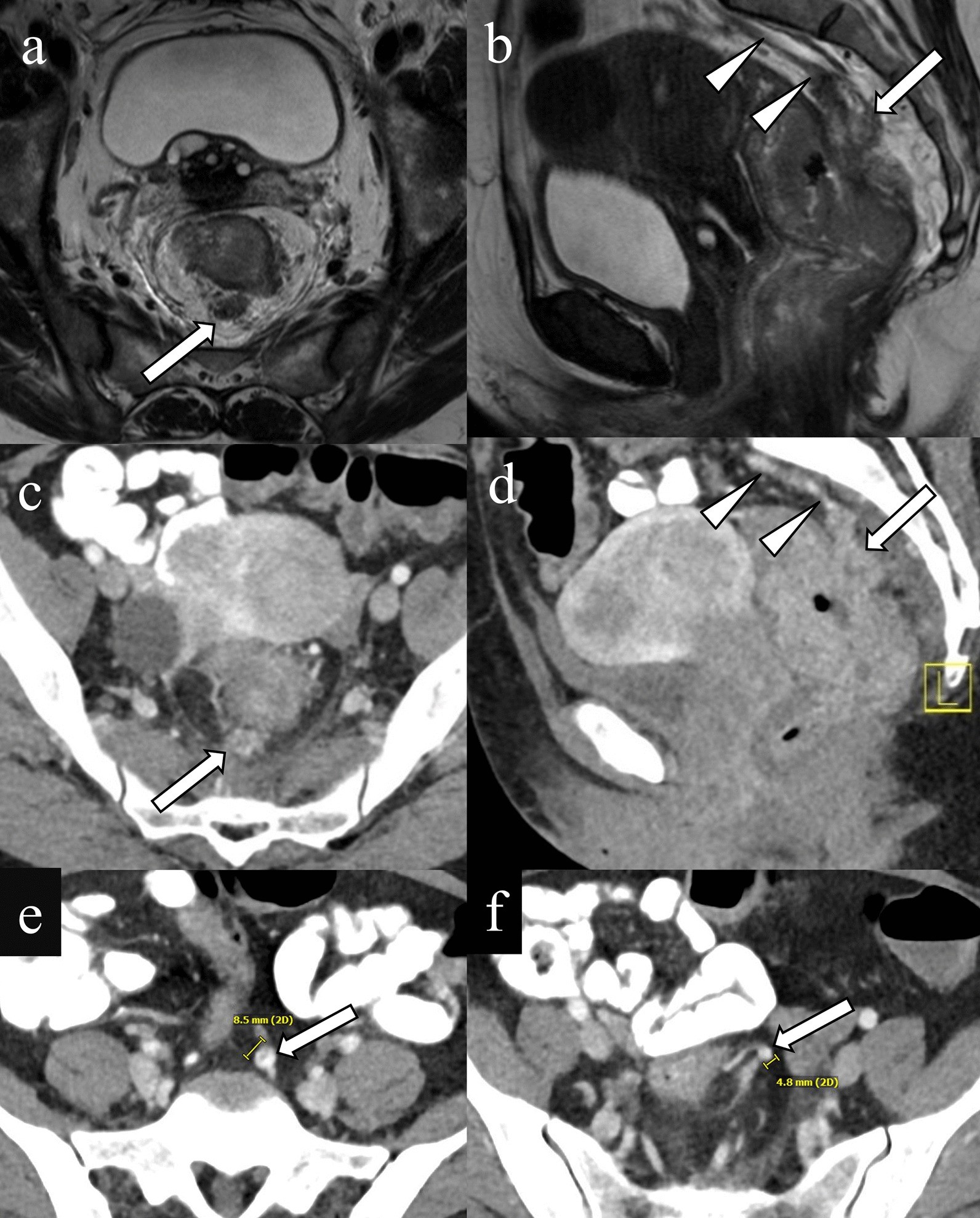 Fig. 7