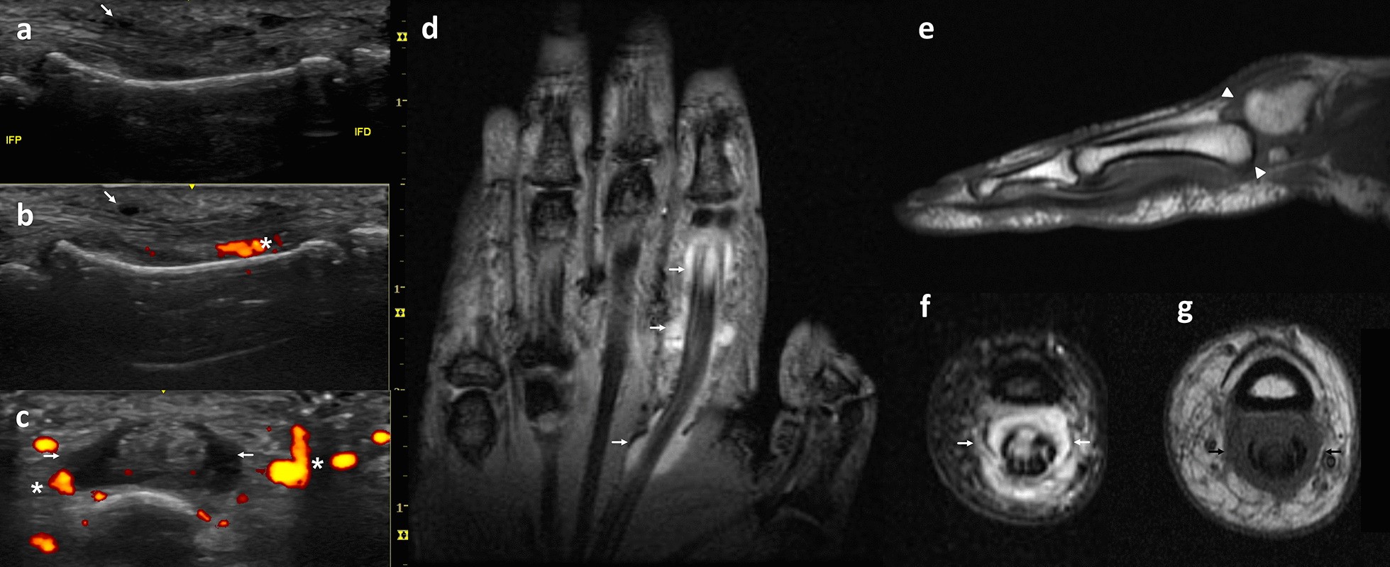 Fig. 5