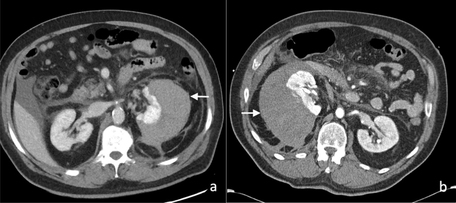 Fig. 6