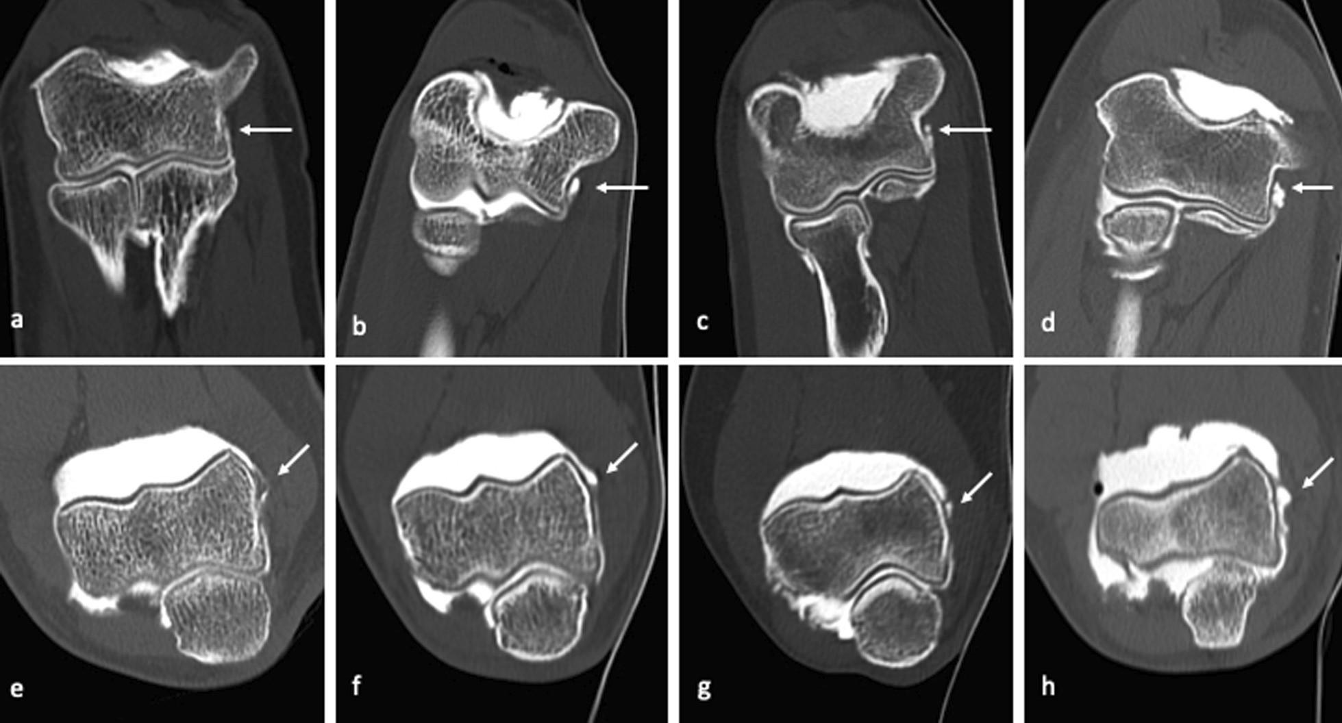 Fig. 5