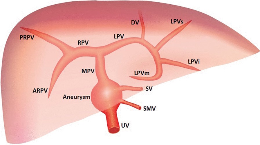 Fig. 19