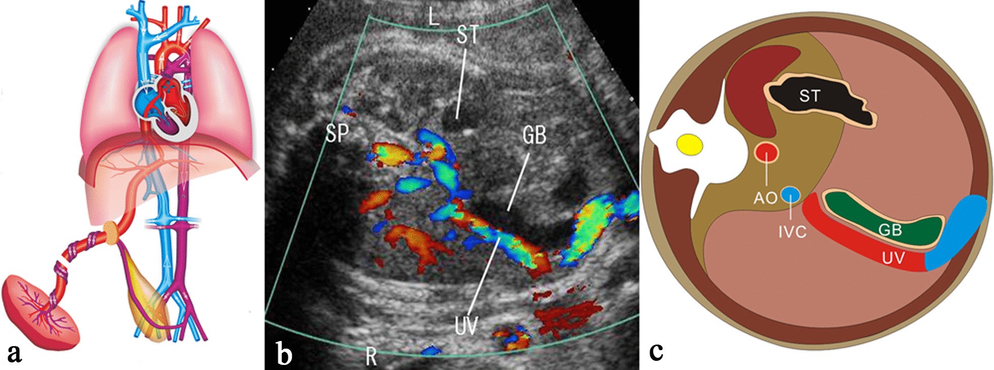 Fig. 8