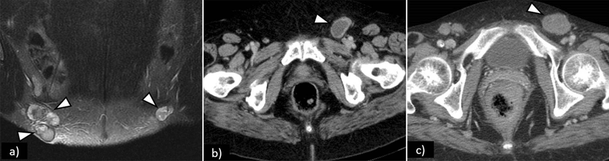 Fig. 7