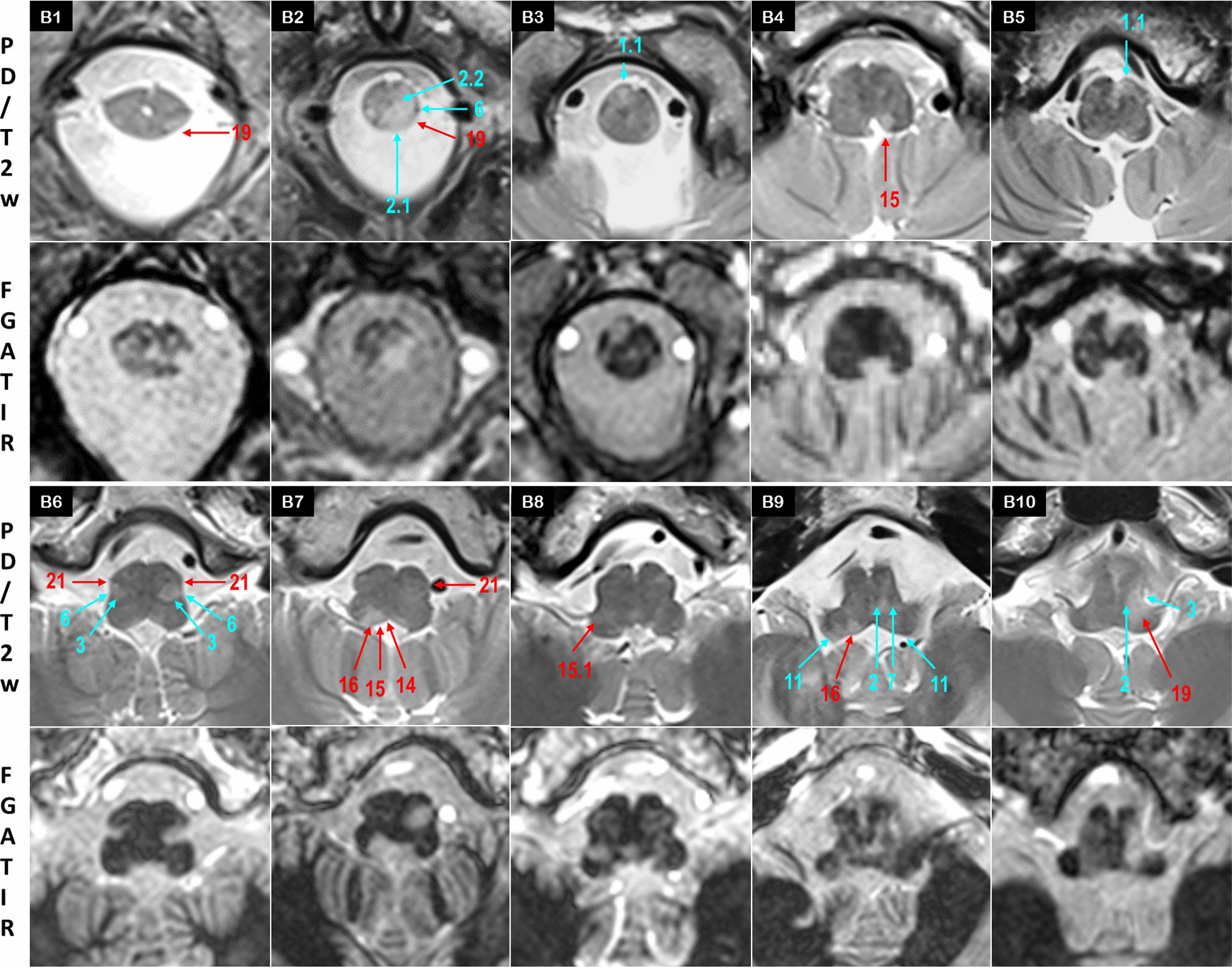 Fig. 3