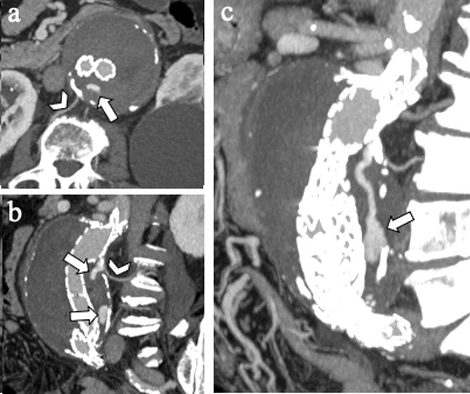 Fig. 5