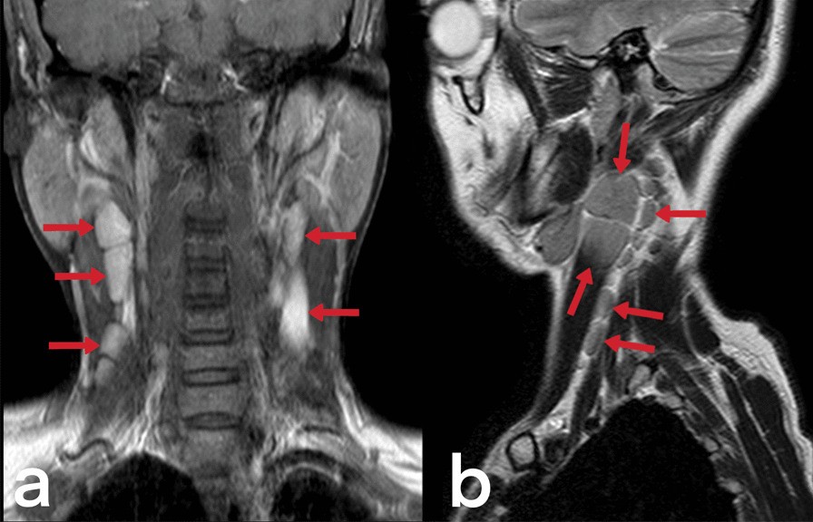 Fig. 9