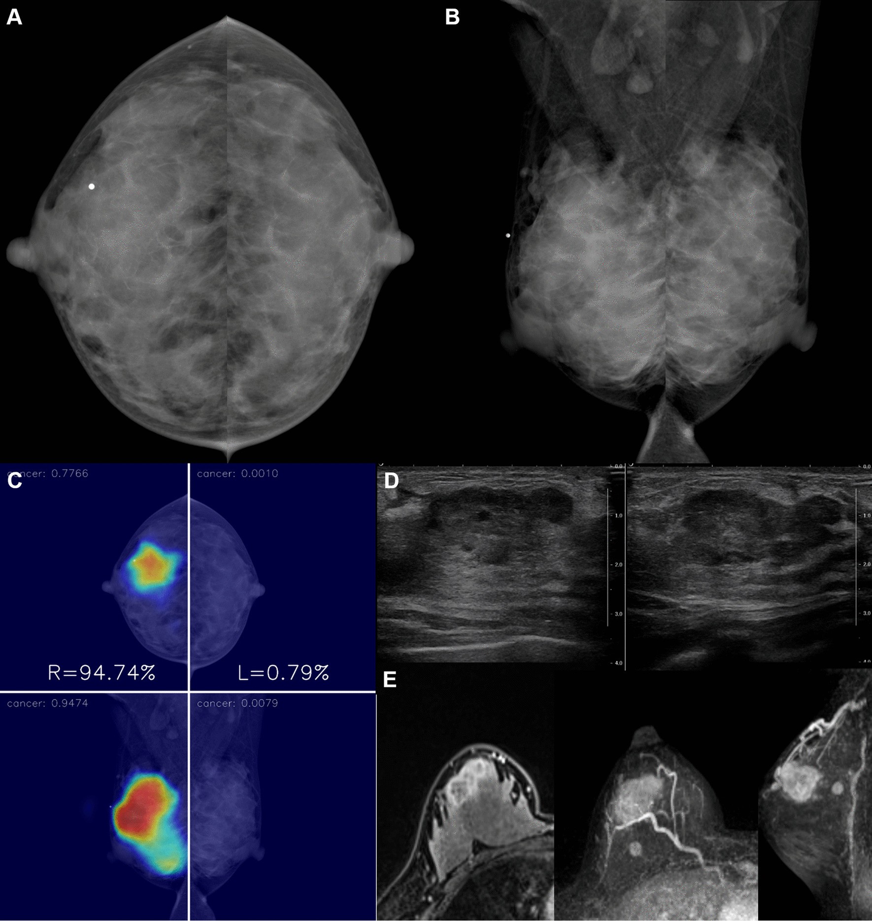 Fig. 4