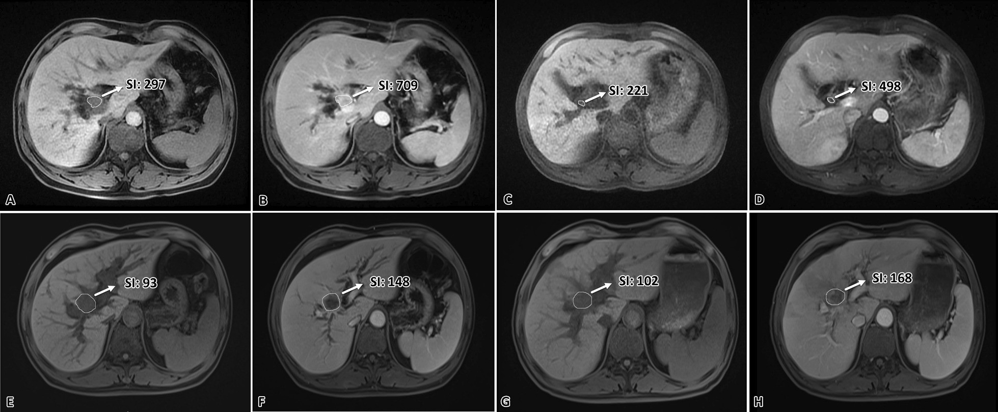 Fig. 5