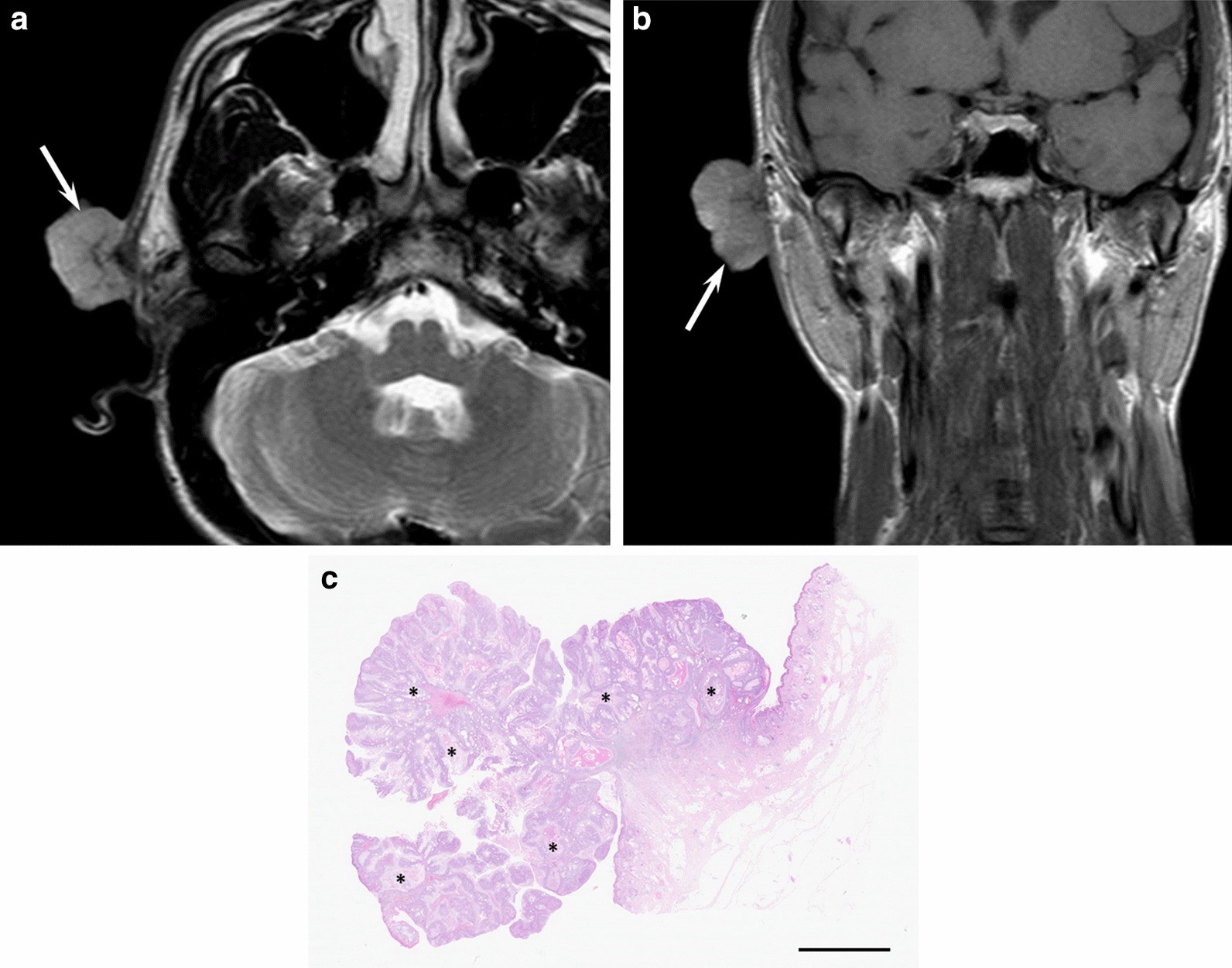 Fig. 9