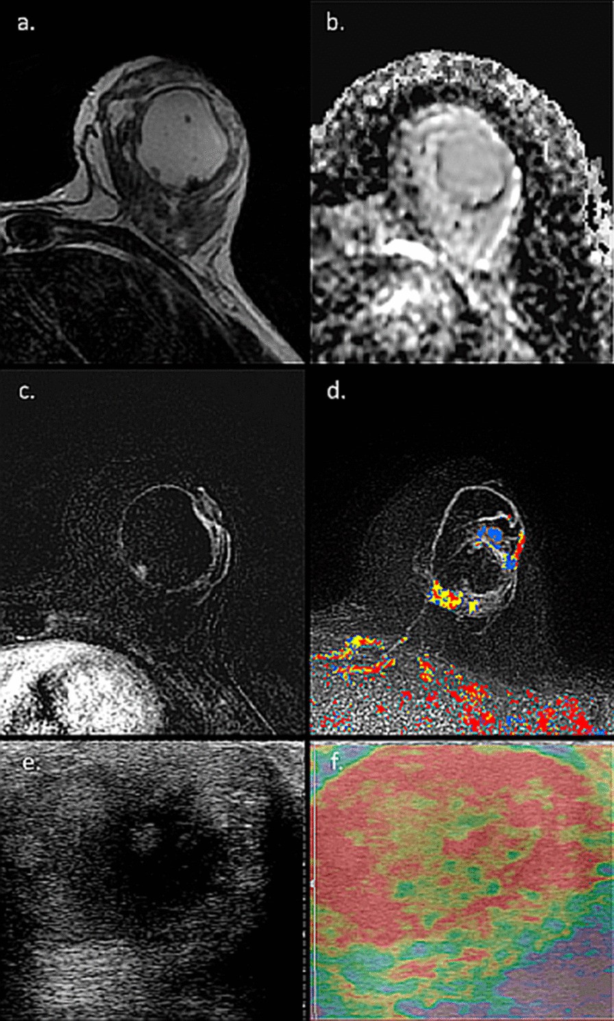 Fig. 7