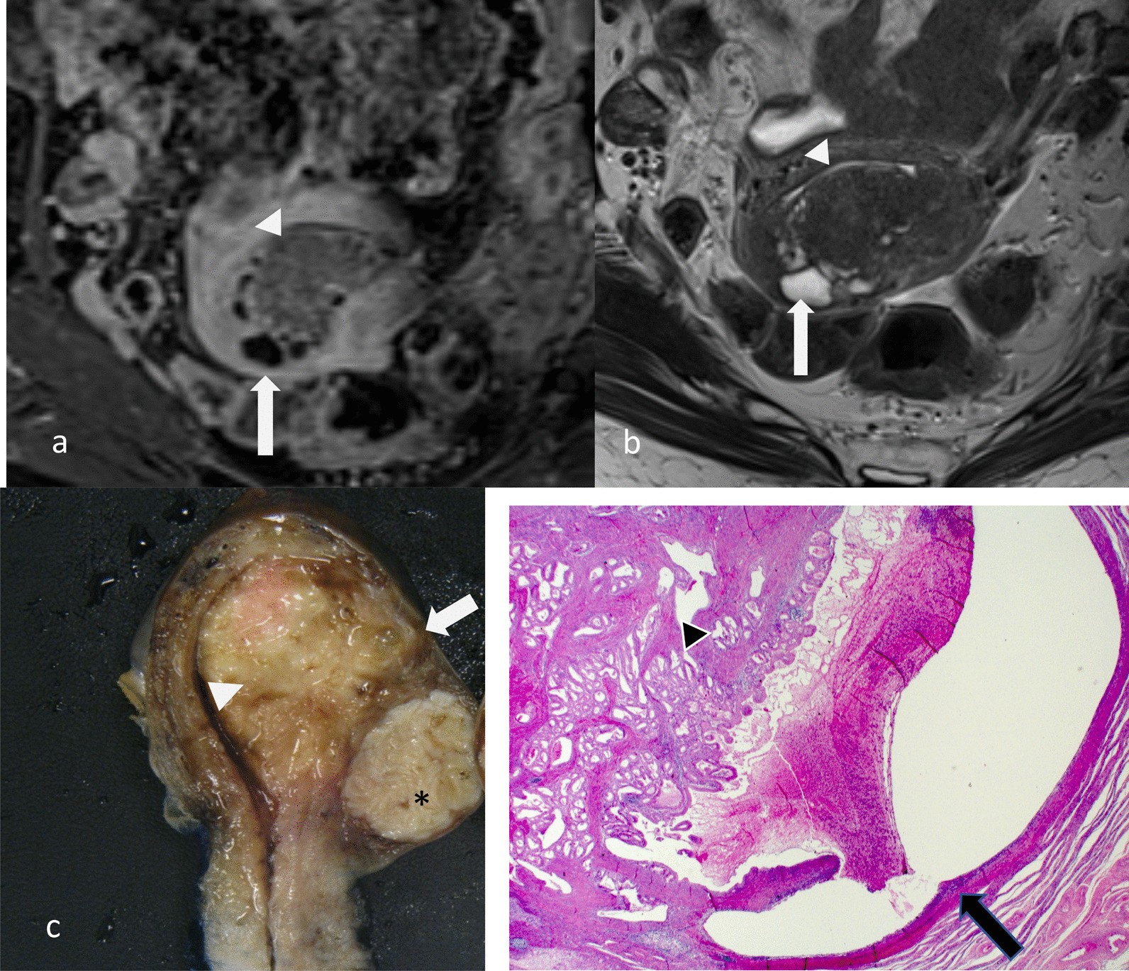 Fig. 10