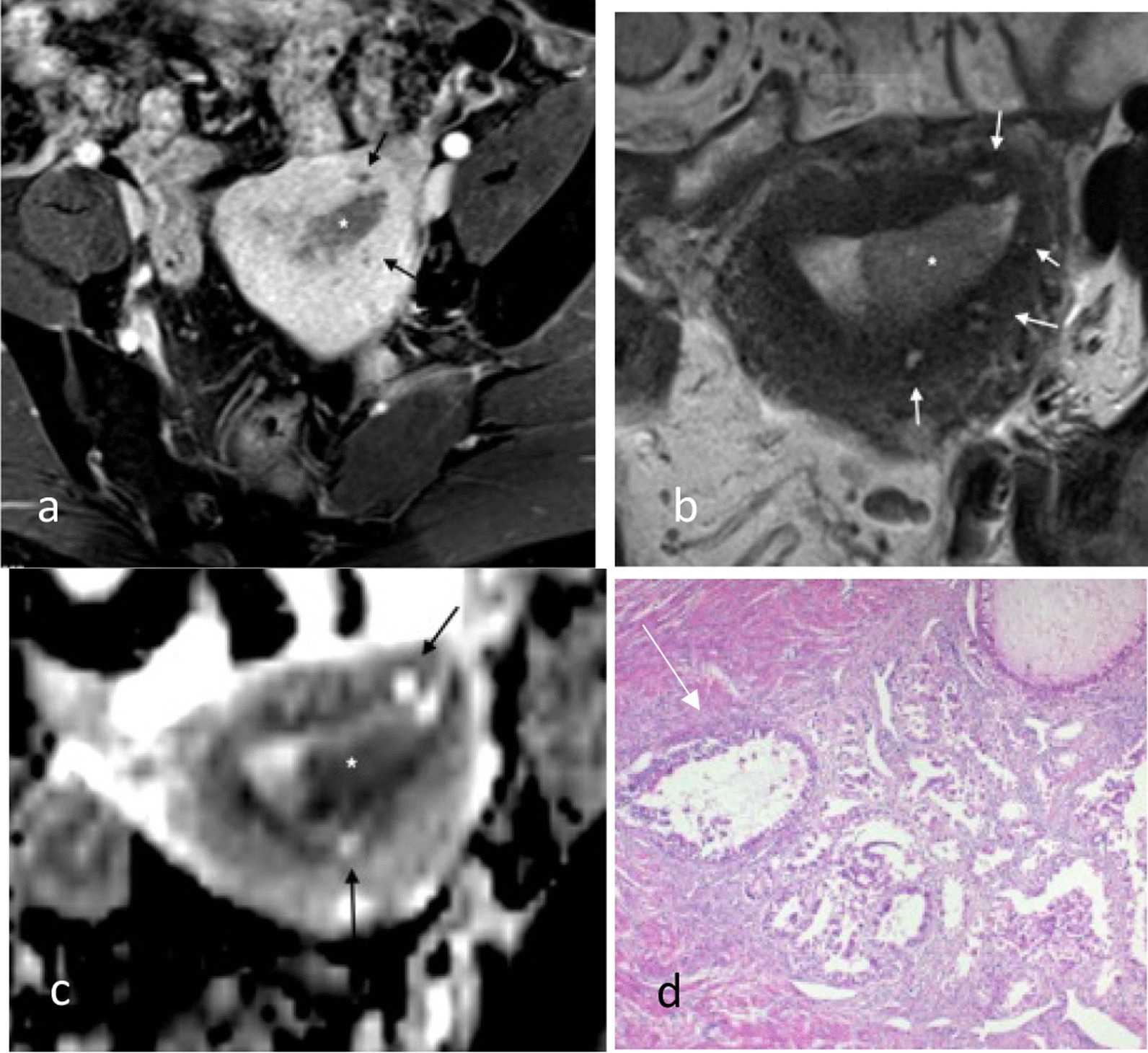 Fig. 8