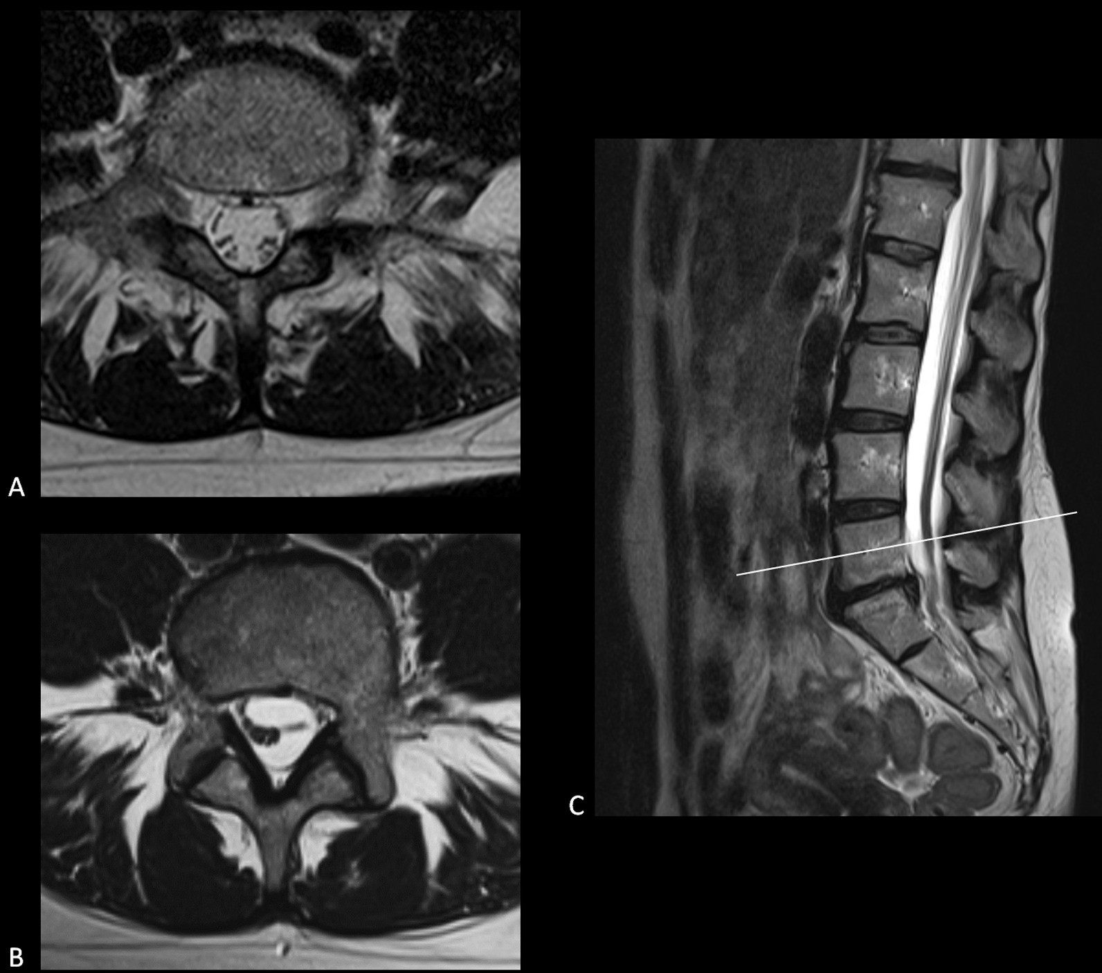 Fig. 9