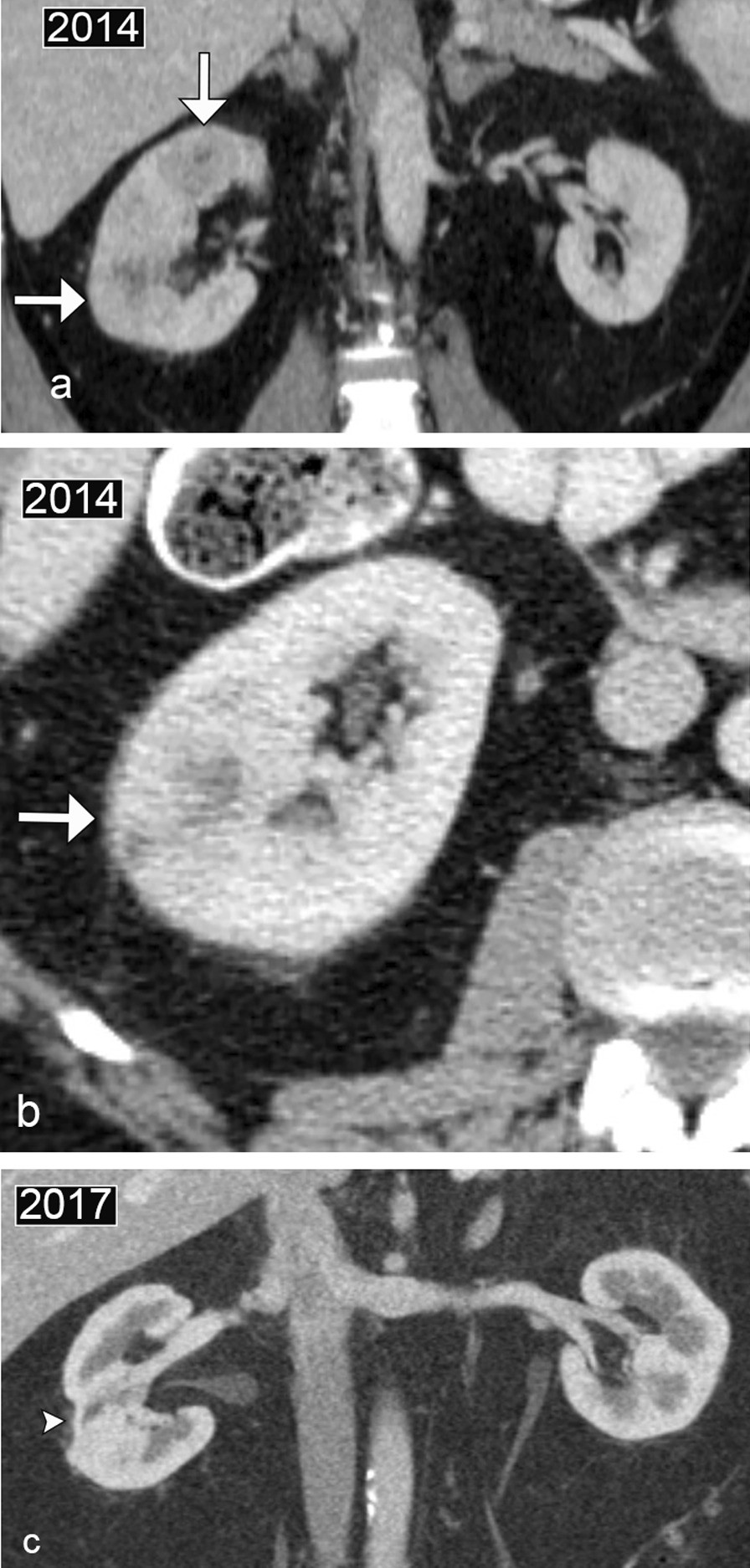 Fig. 10