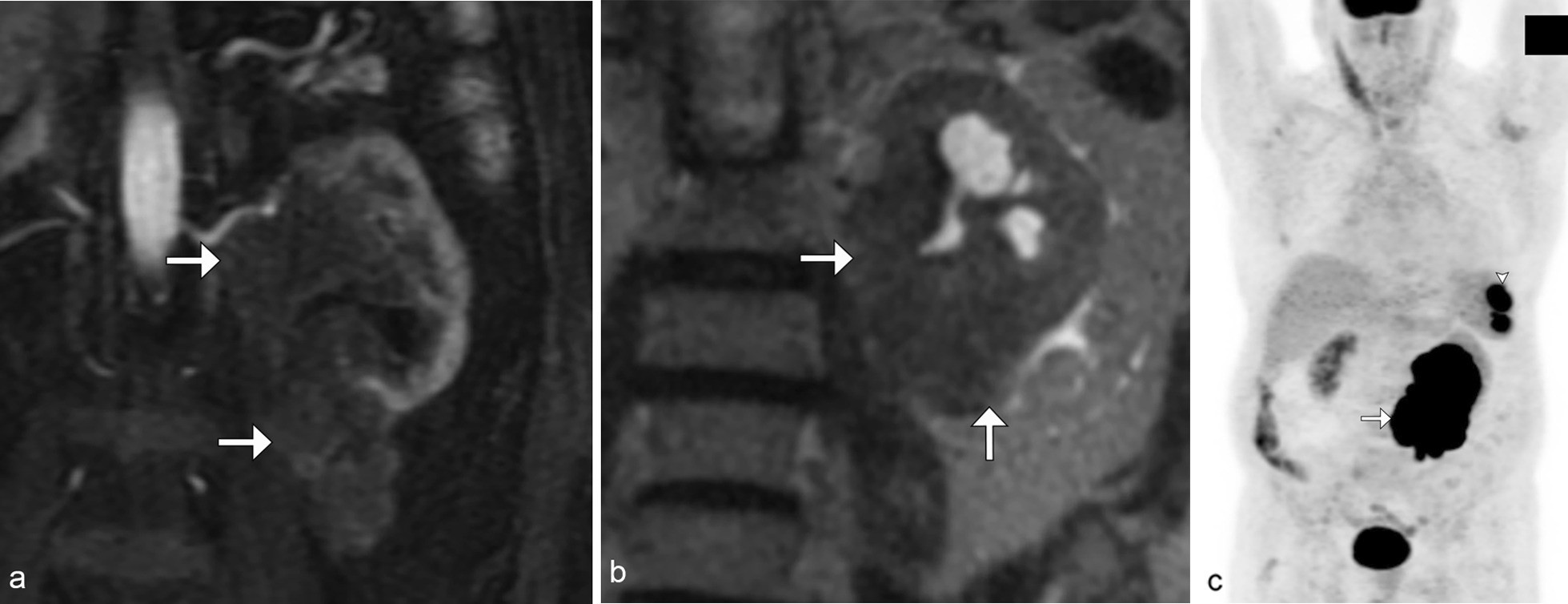 Fig. 9