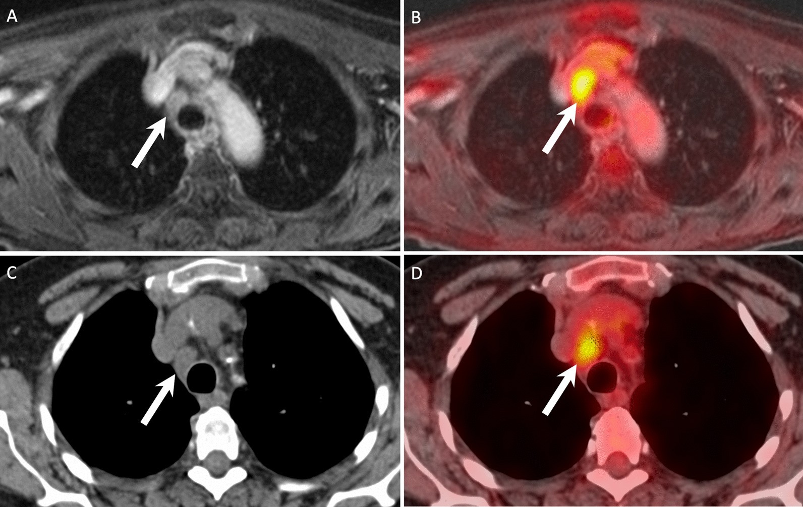 Fig. 6