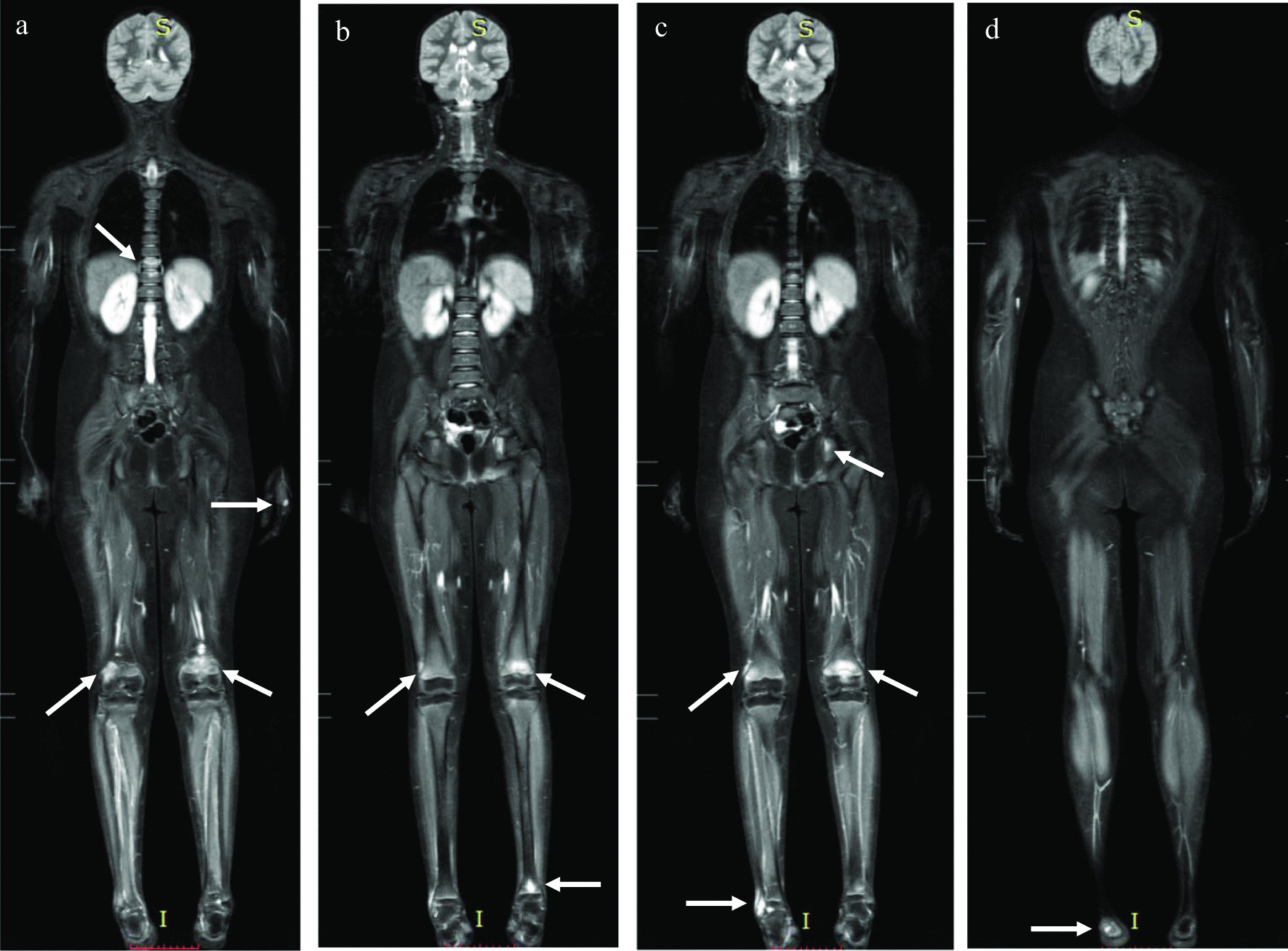 Fig. 8