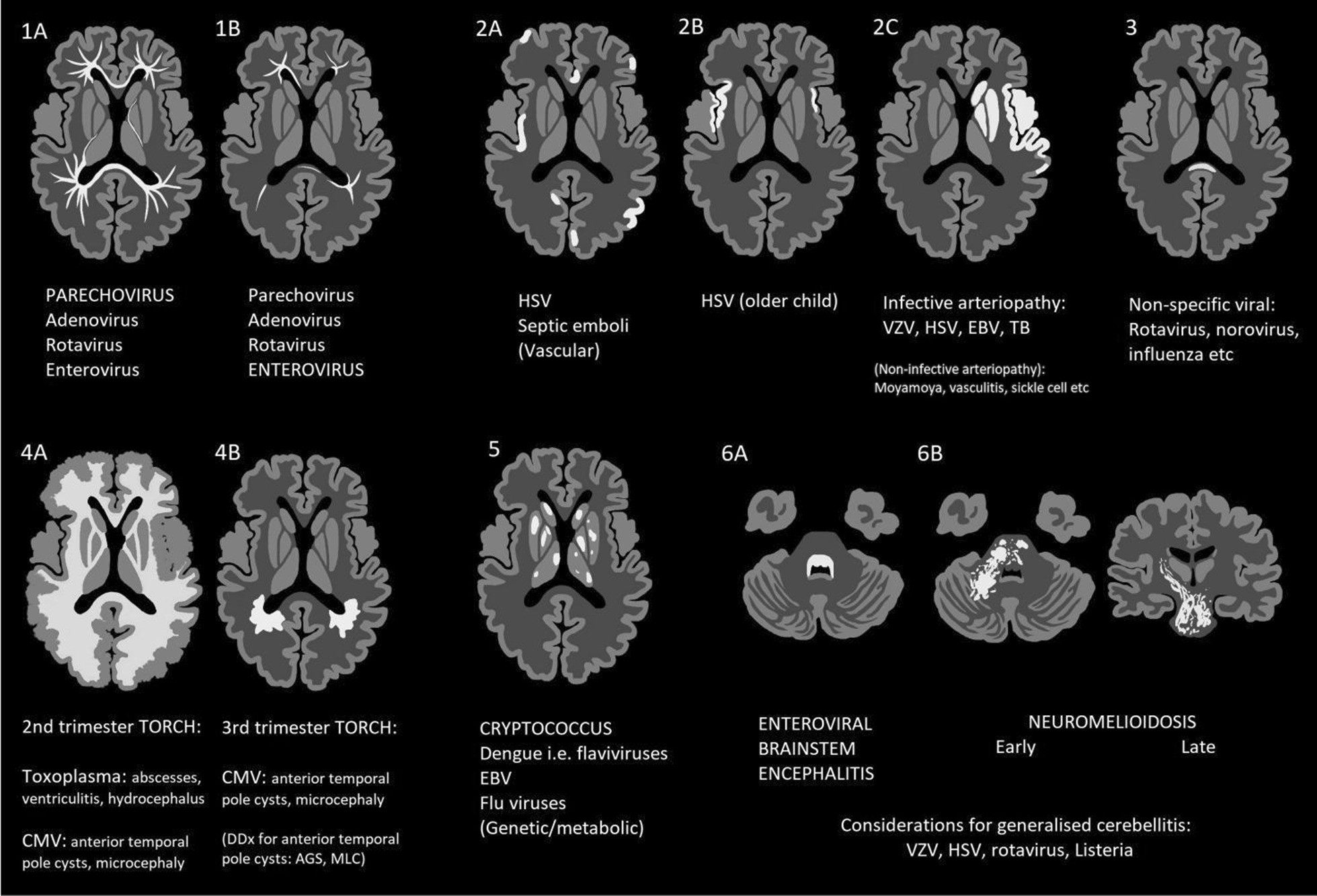 Fig. 19