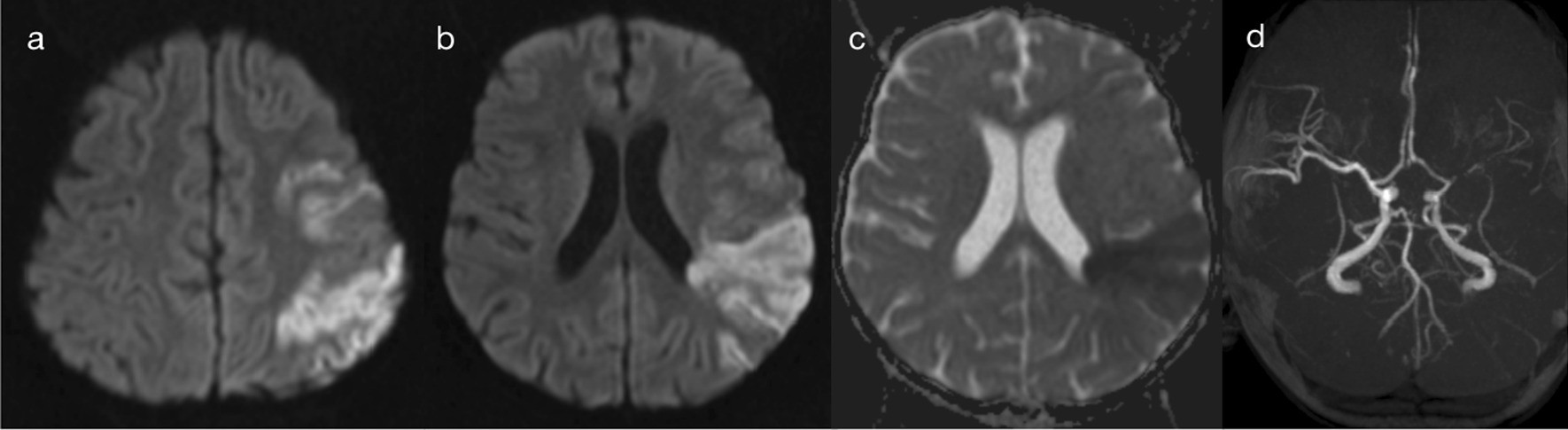 Fig. 8