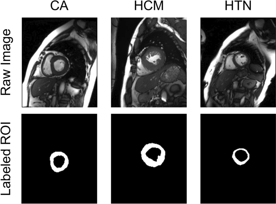 Fig. 7