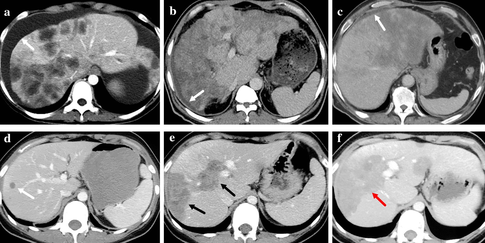 Fig. 6