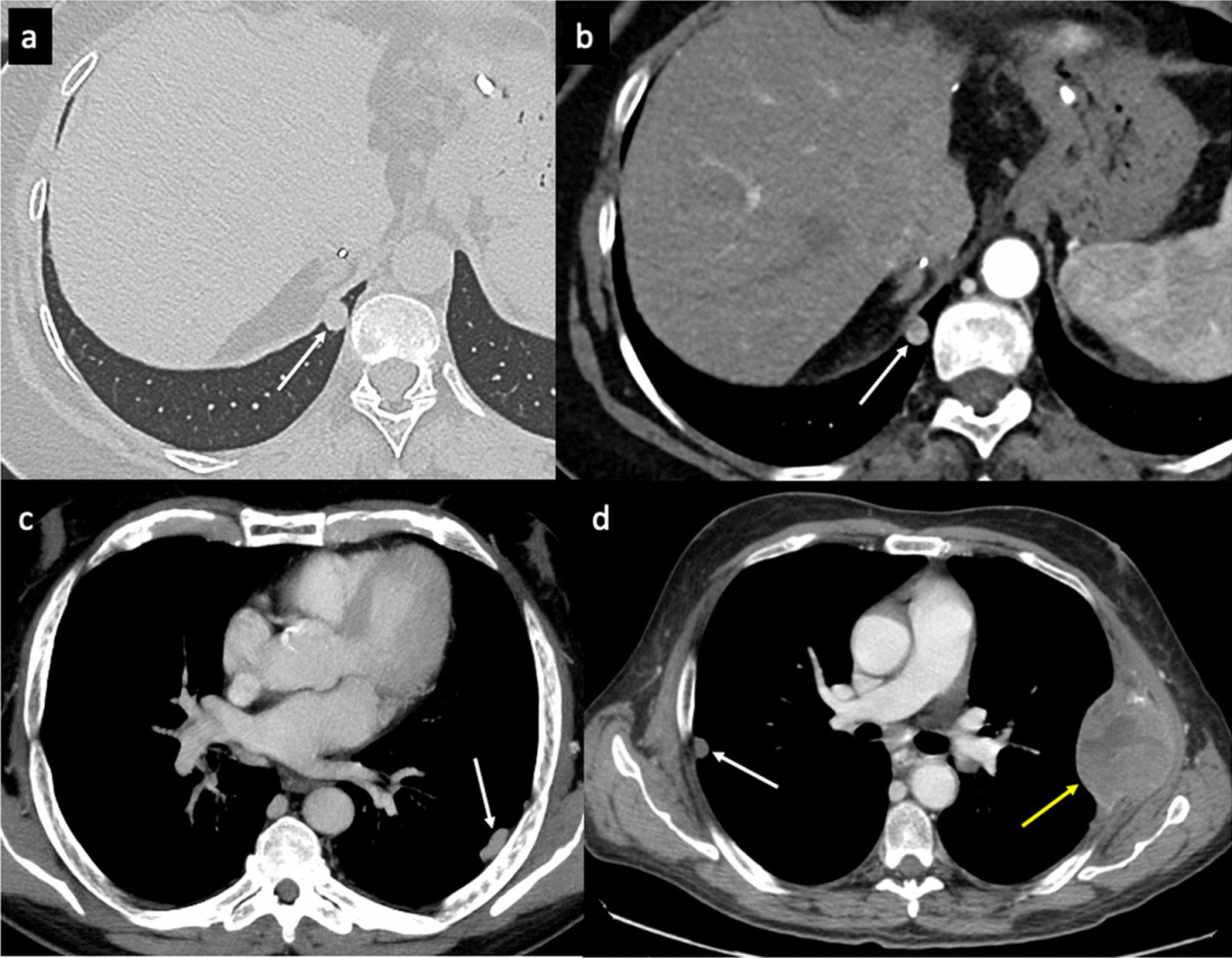 Fig. 8