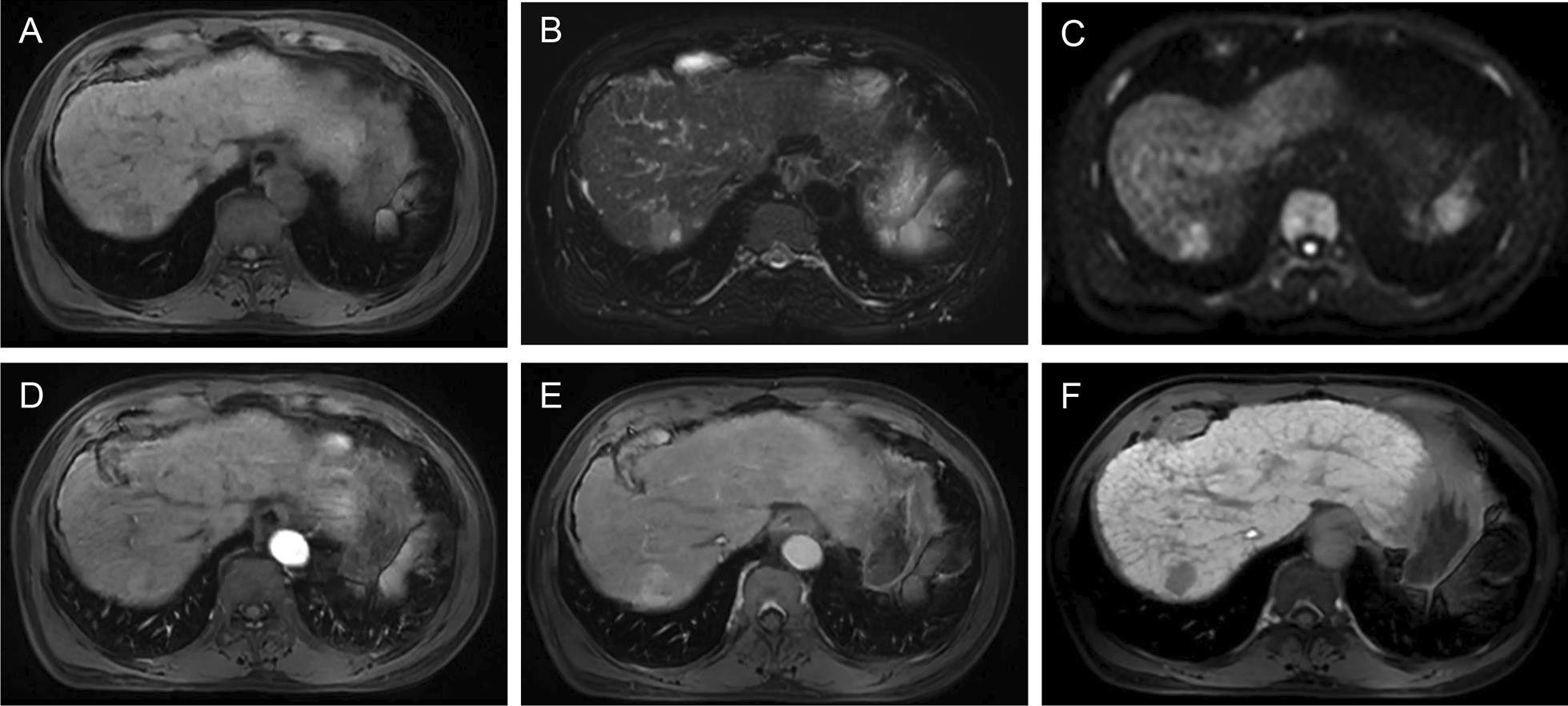 Fig. 5