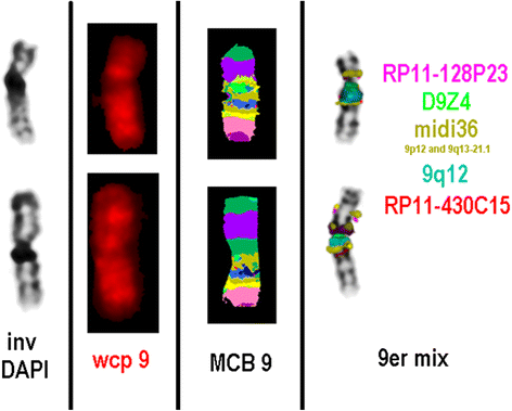 Fig. 2