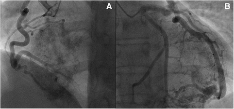 Fig. 5