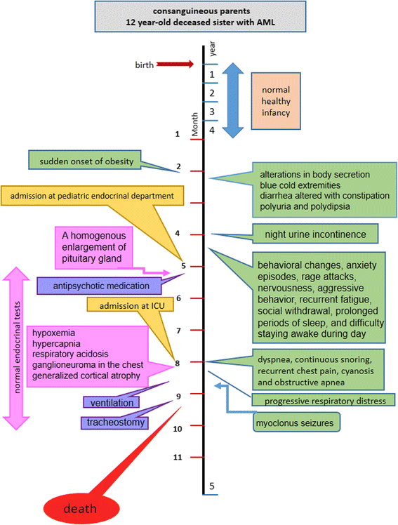 Fig. 9