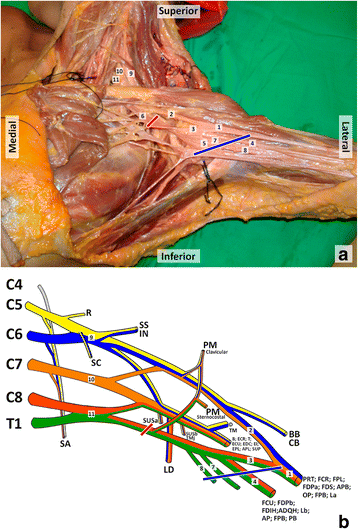 Fig. 3