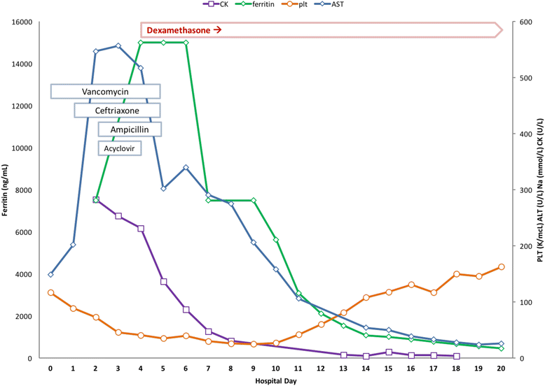 Fig. 1