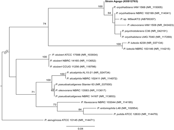 Fig. 1