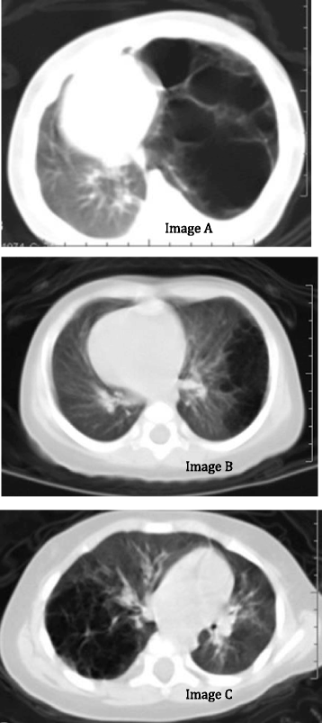 Fig. 5