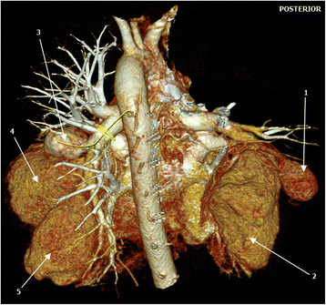 Fig. 5