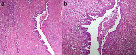 Fig. 5