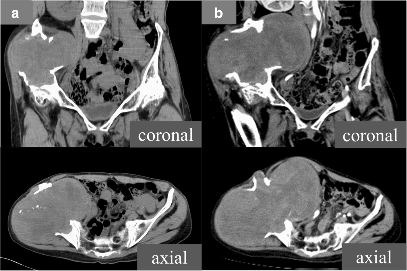 Fig. 6