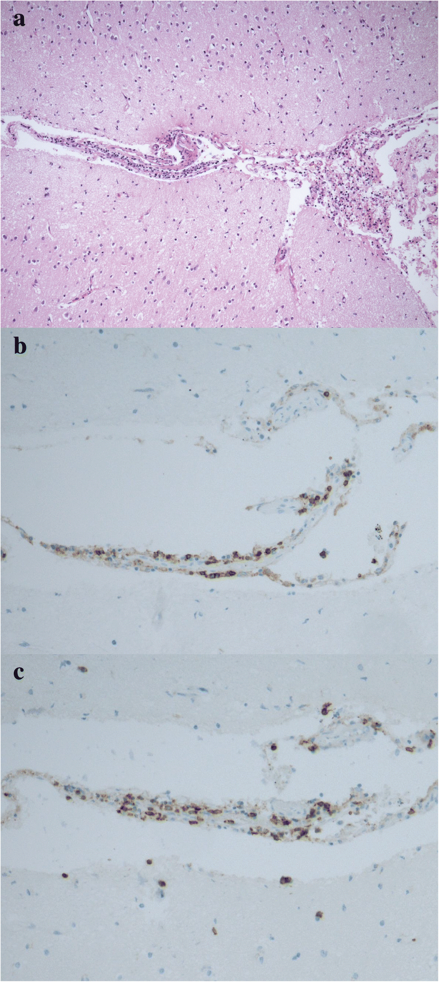 Fig. 5