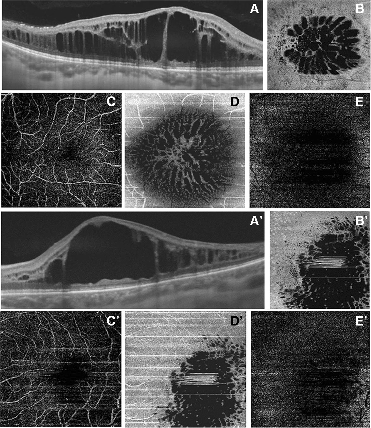 Fig. 3